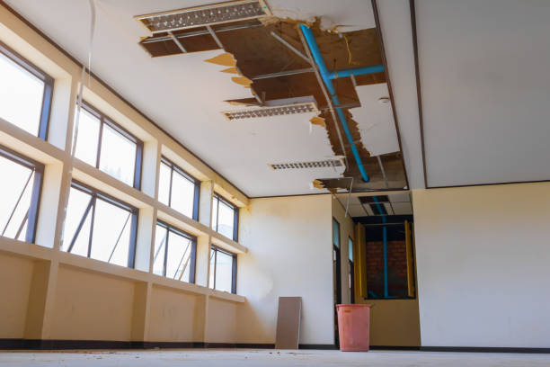 Best Flood damage cleanup  in Meadow Vista, CA