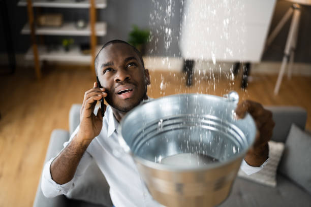 Best Ceiling water damage repair  in Meadow Vista, CA