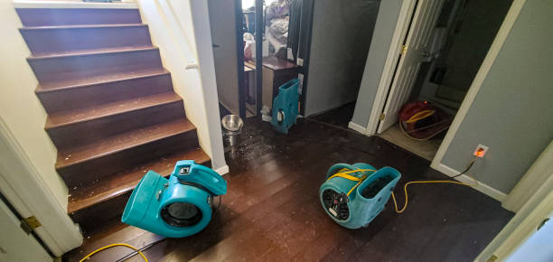 Trusted CA Water damage restoration Experts