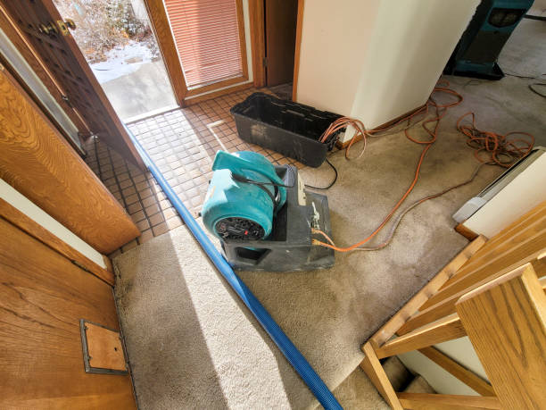 Best Water damage restoration insurance claims  in Meadow Vista, CA