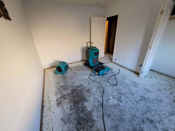  Meadow Vista, CA Water damage restoration Pros
