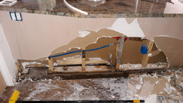 Best 24-hour water damage restoration  in Meadow Vista, CA