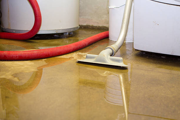 Best Water damage restoration experts  in Meadow Vista, CA
