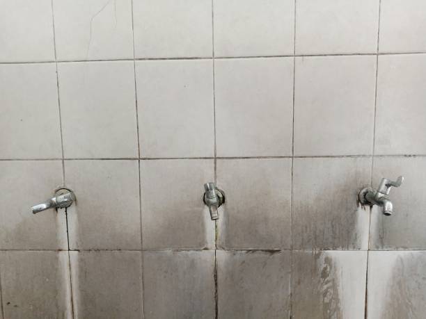 Best 24-hour water damage restoration  in Meadow Vista, CA