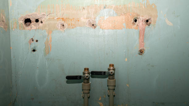 Best Ceiling water damage repair  in Meadow Vista, CA