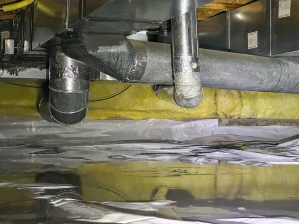 Best Water damage cleanup near me  in Meadow Vista, CA