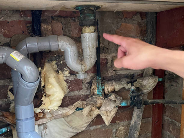 Best Flood damage cleanup  in Meadow Vista, CA