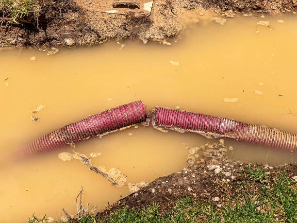 Best Sewage cleanup and water damage restoration  in Meadow Vista, CA