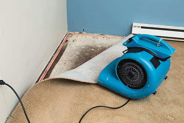 Best Residential water damage restoration  in Meadow Vista, CA